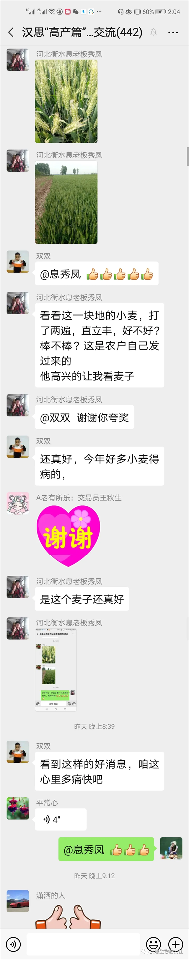 小麥“三病一害”要防？用它全部解決！